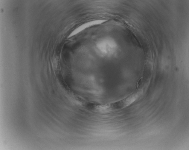 X0000069830139200606021346