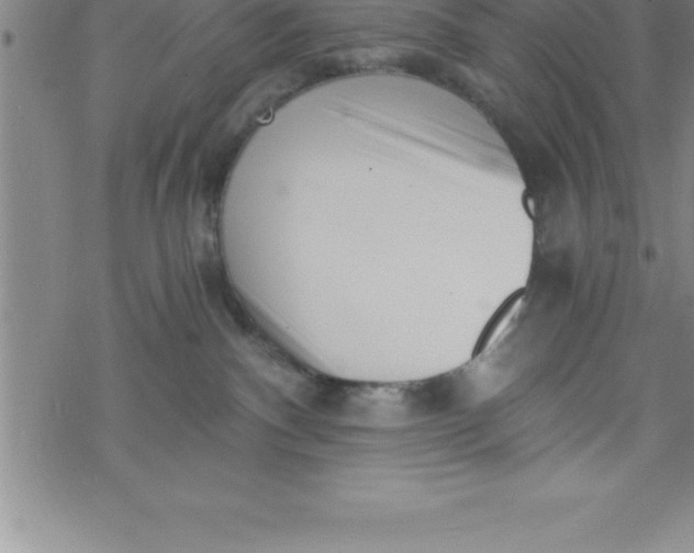 X0000069830140200606021346