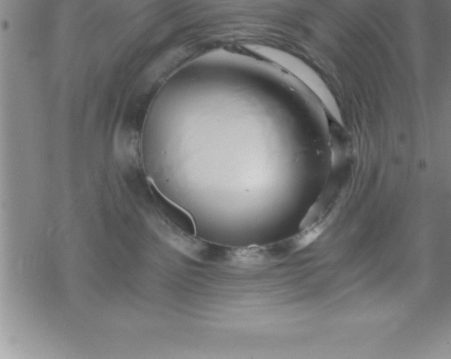 X0000069830141200606021346