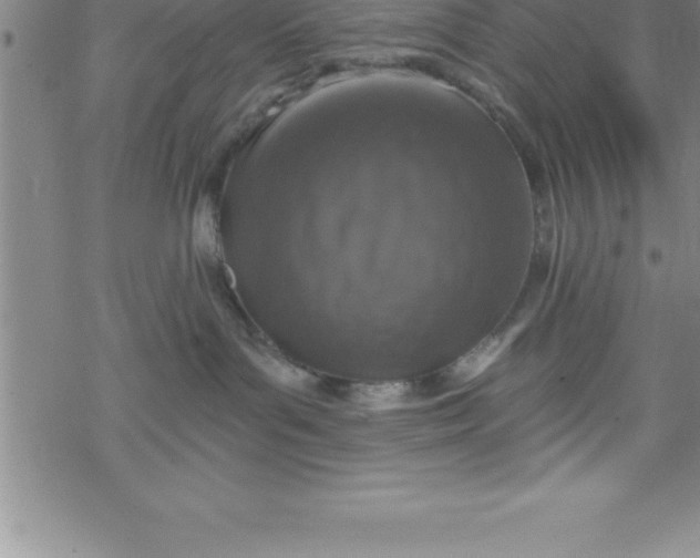 X0000069830143200606021346