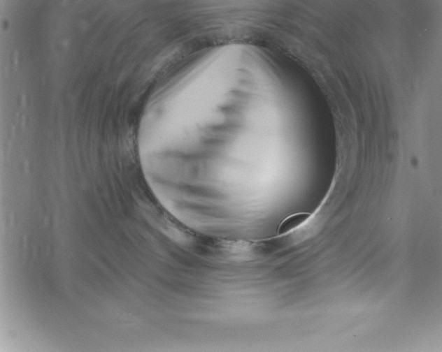 X0000069830144200606021346