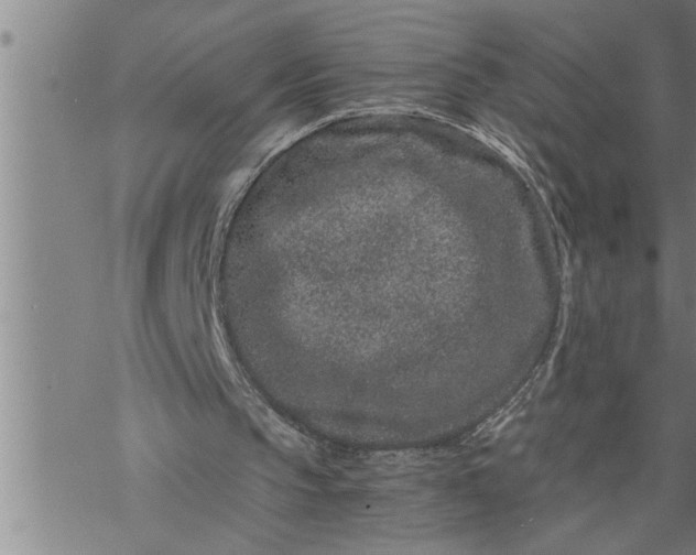 X0000069830145200606021345