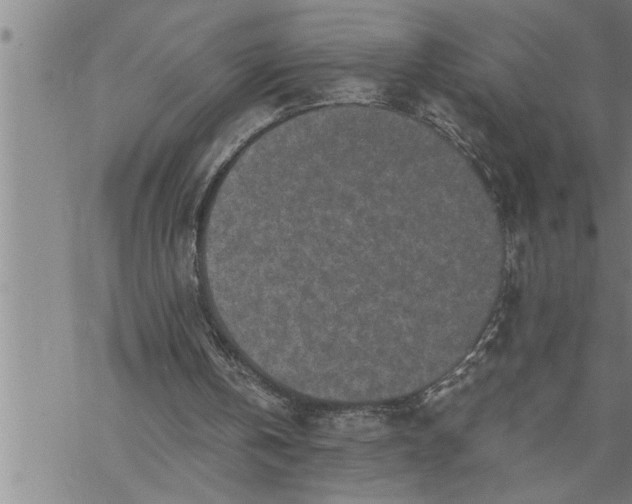 X0000069830146200606021345