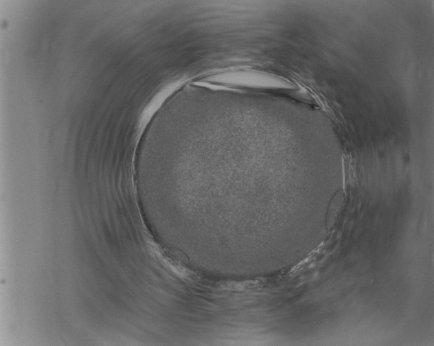 X0000069830147200606021345