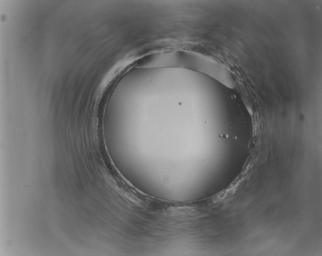 X0000069830150200606021345