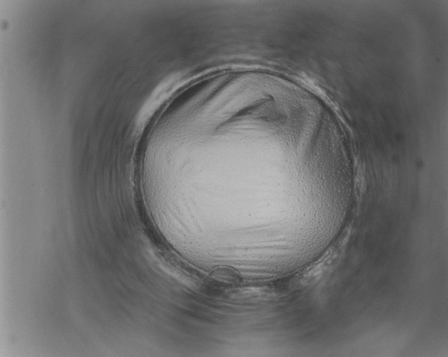 X0000069830151200606021345