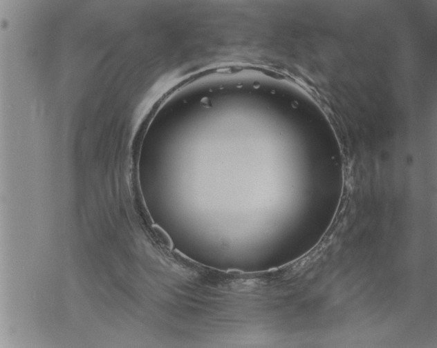 X0000069830152200606021345