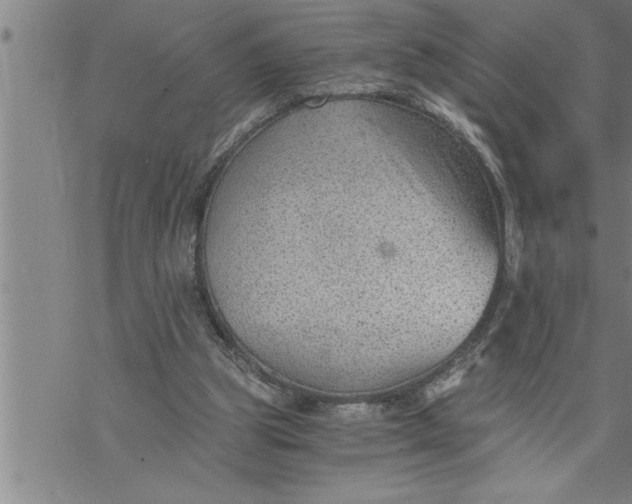 X0000069830153200606021345