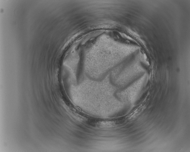 X0000069830154200606021345