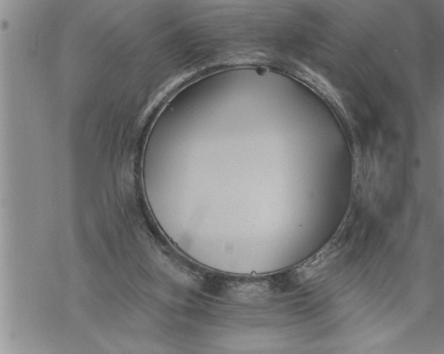 X0000069830155200606021345