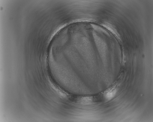 X0000069830156200606021345