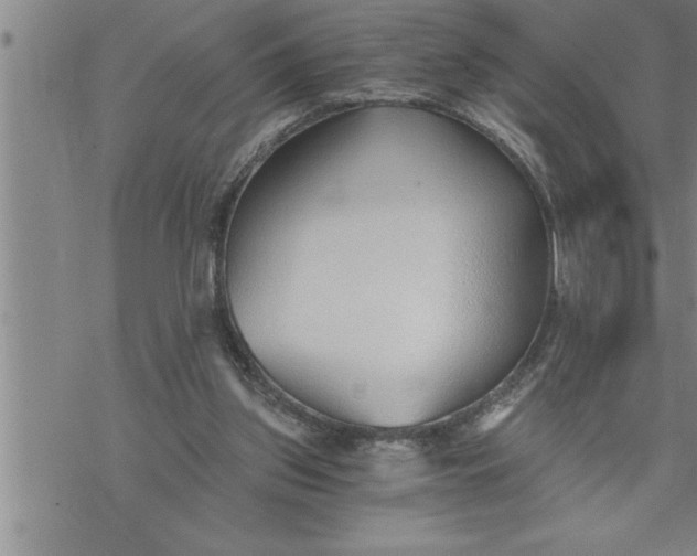 X0000069830157200606021345