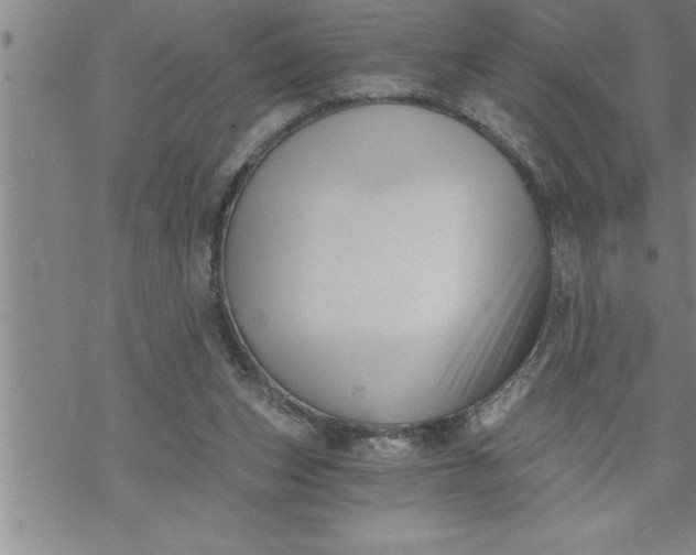 X0000069830159200606021345