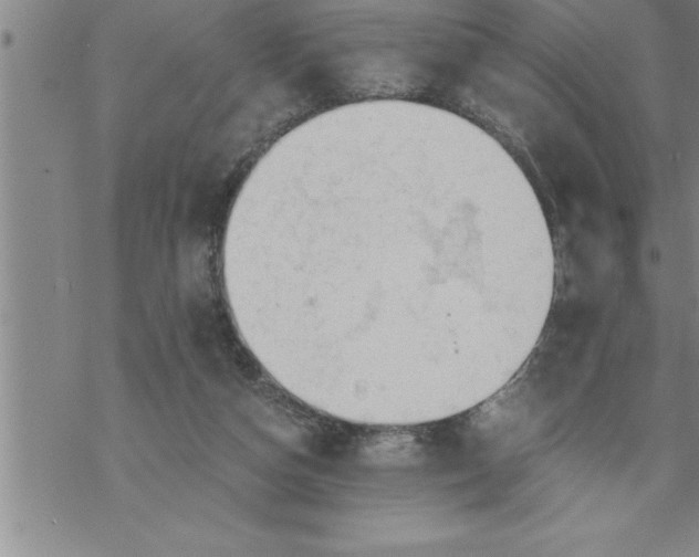 X0000069830162200606021345