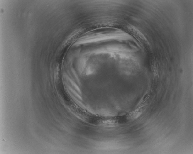 X0000069830163200606021345