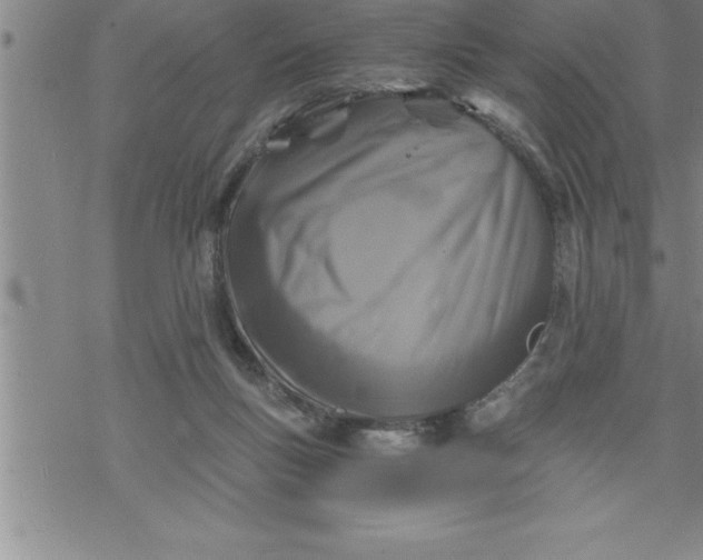 X0000069830167200606021345