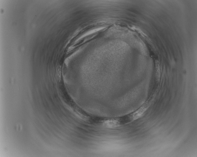 X0000069830168200606021345