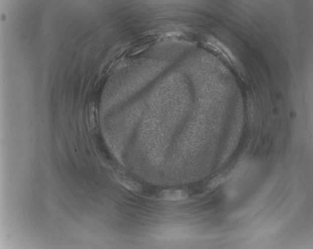 X0000069830169200606021345