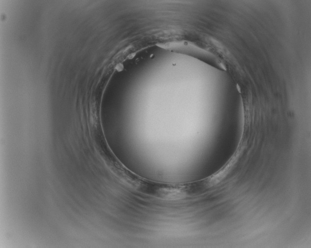 X0000069830170200606021345