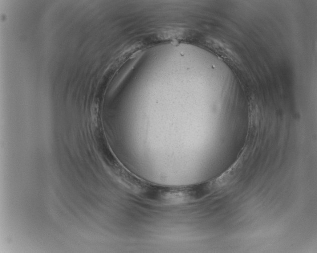 X0000069830171200606021345