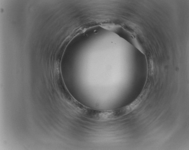 X0000069830172200606021345