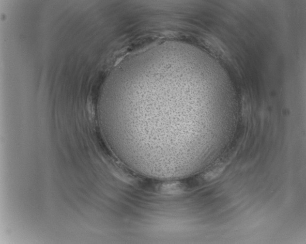 X0000069830173200606021345