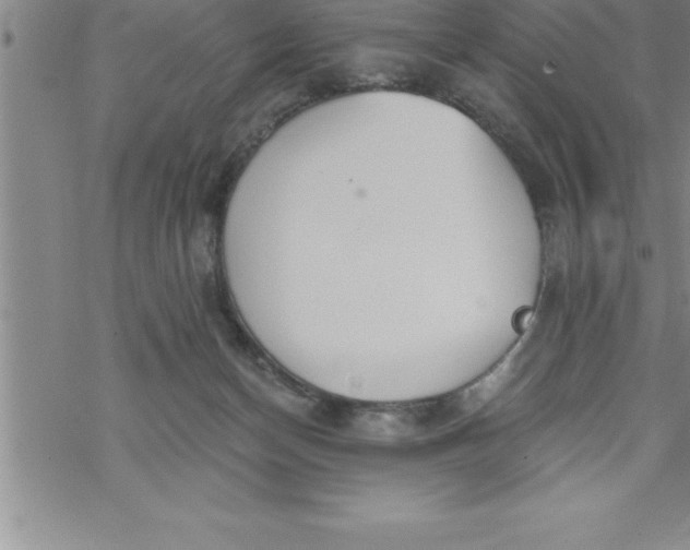 X0000069830174200606021345