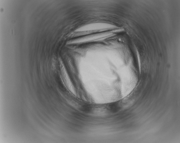 X0000069830175200606021345