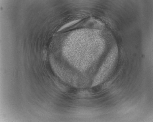 X0000069830177200606021345