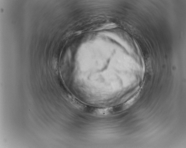 X0000069830178200606021345