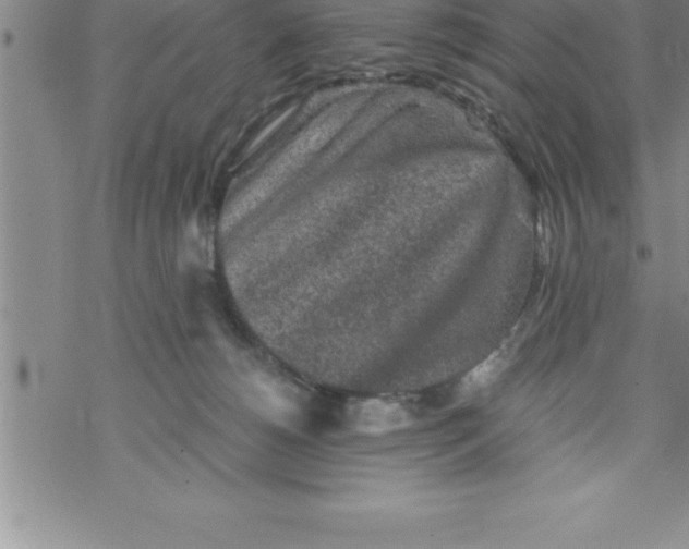 X0000069830180200606021345