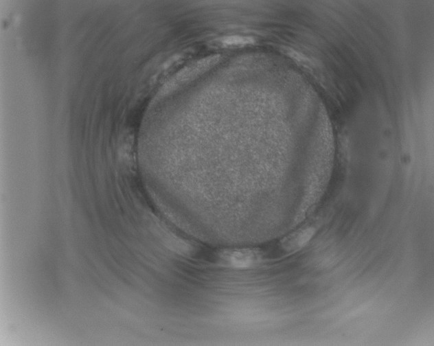 X0000069830181200606021345