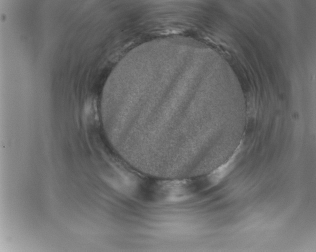 X0000069830182200606021345