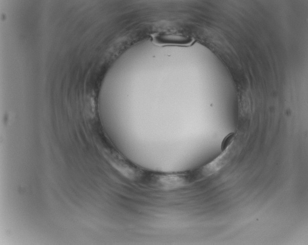 X0000069830183200606021345