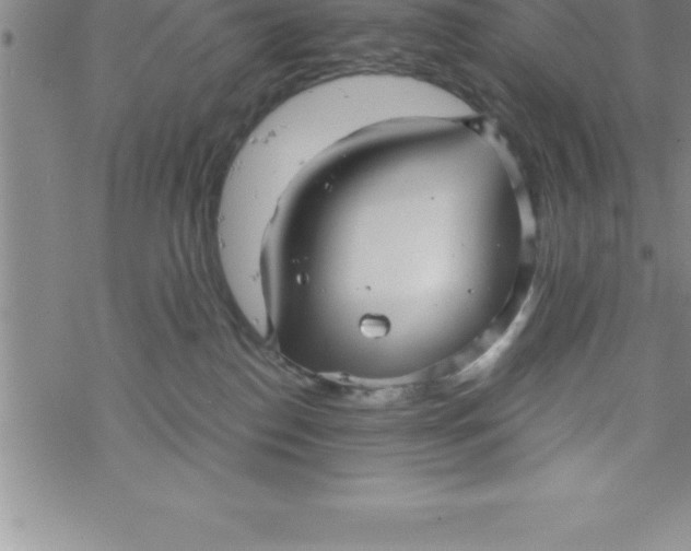 X0000069830186200606021345