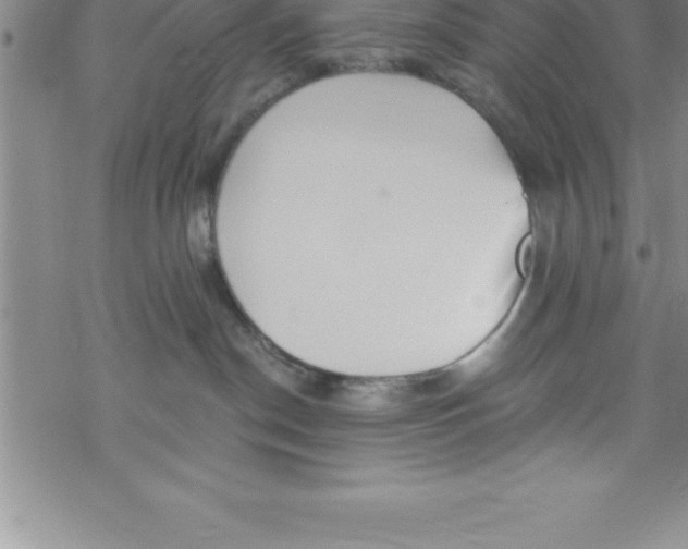 X0000069830190200606021346