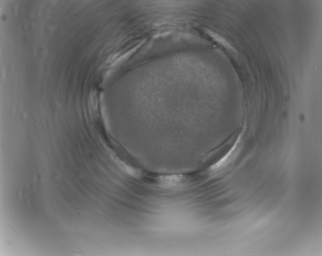 X0000069830192200606021346