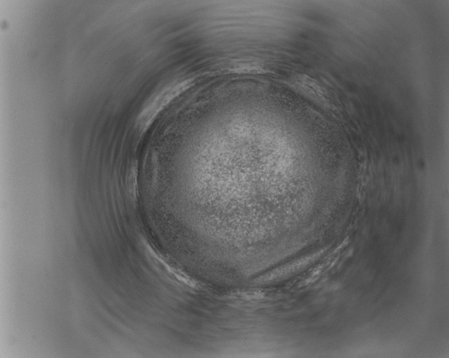 X0000069830194200606021345