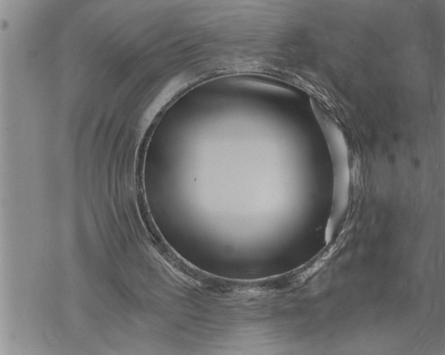 X0000069830195200606021345