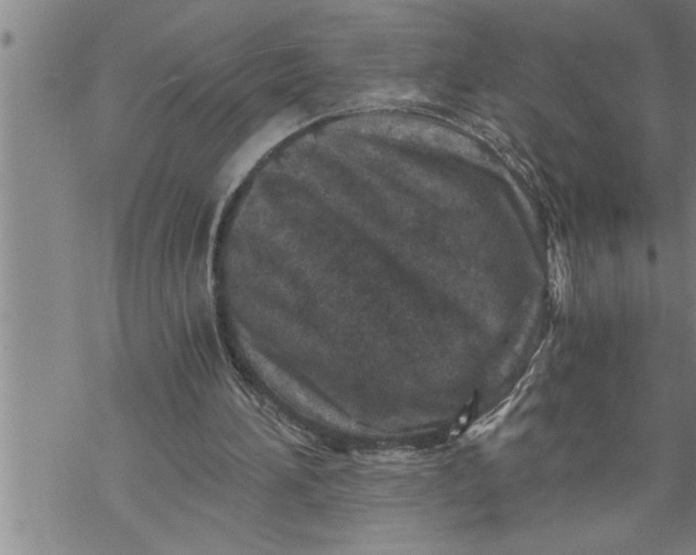 X0000069830196200606021345