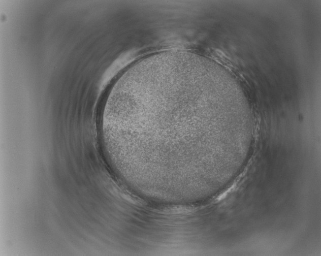 X0000069830198200606021345