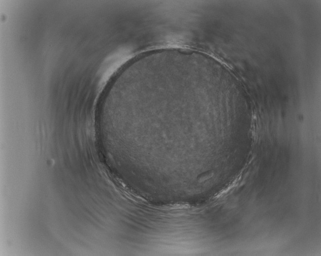 X0000069830200200606021345