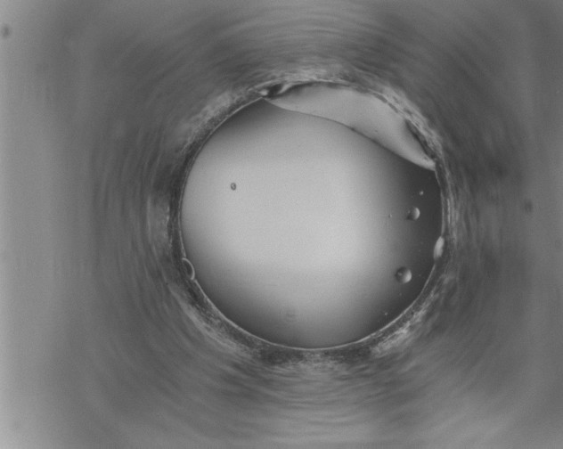 X0000069830201200606021345