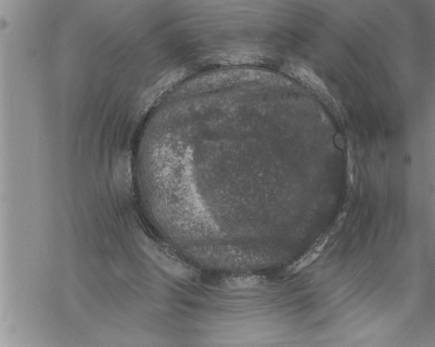 X0000069830202200606021345