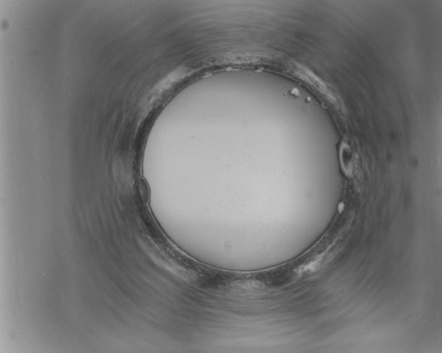 X0000069830203200606021345