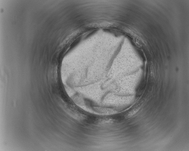 X0000069830206200606021345