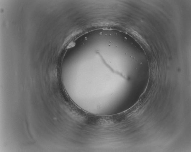 X0000069830207200606021345