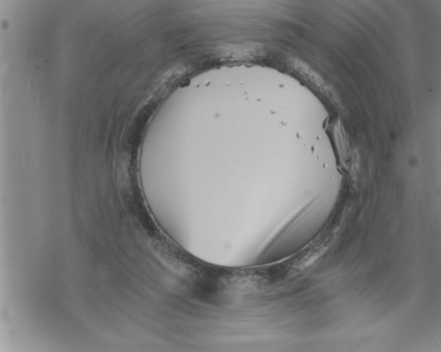 X0000069830209200606021345