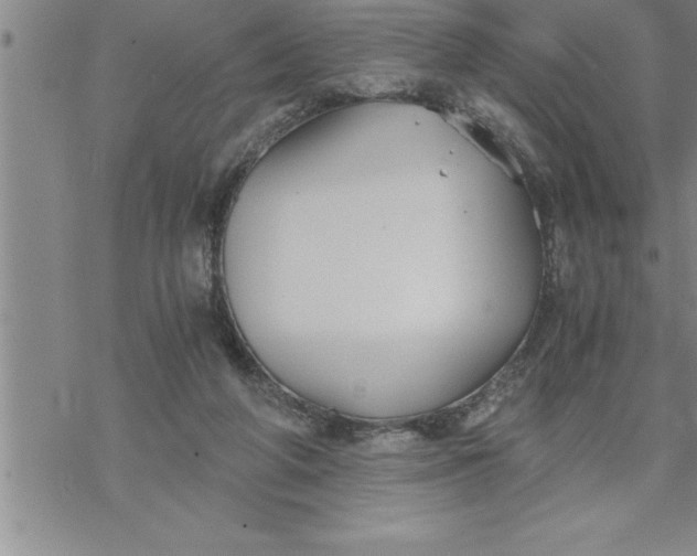 X0000069830210200606021345