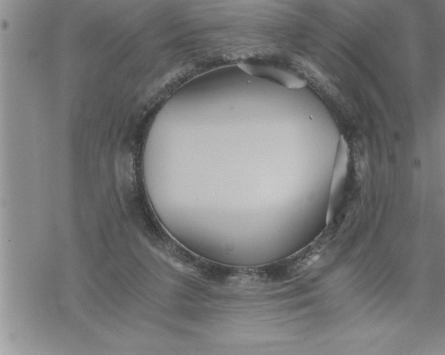 X0000069830211200606021345